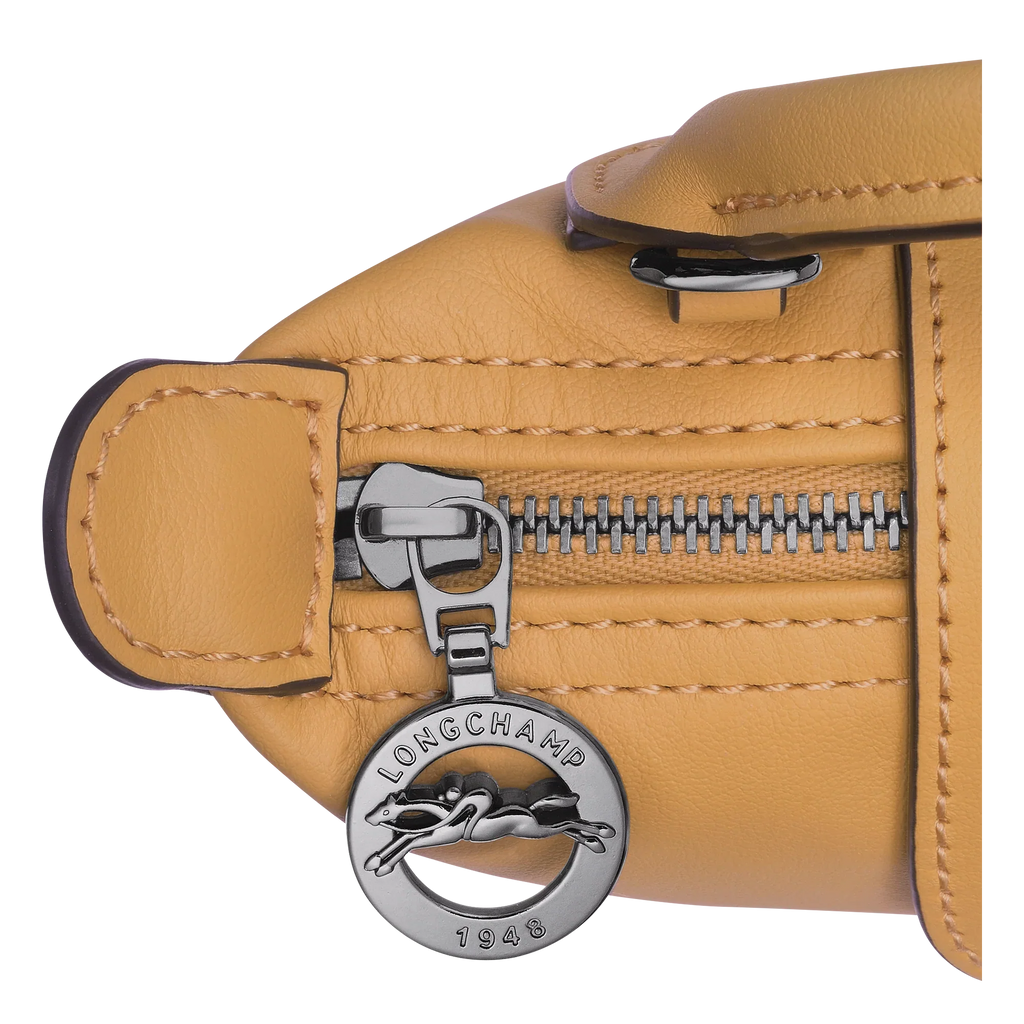 Le Pliage Xtra XS Mini Leather Top Handle Bag – Honey