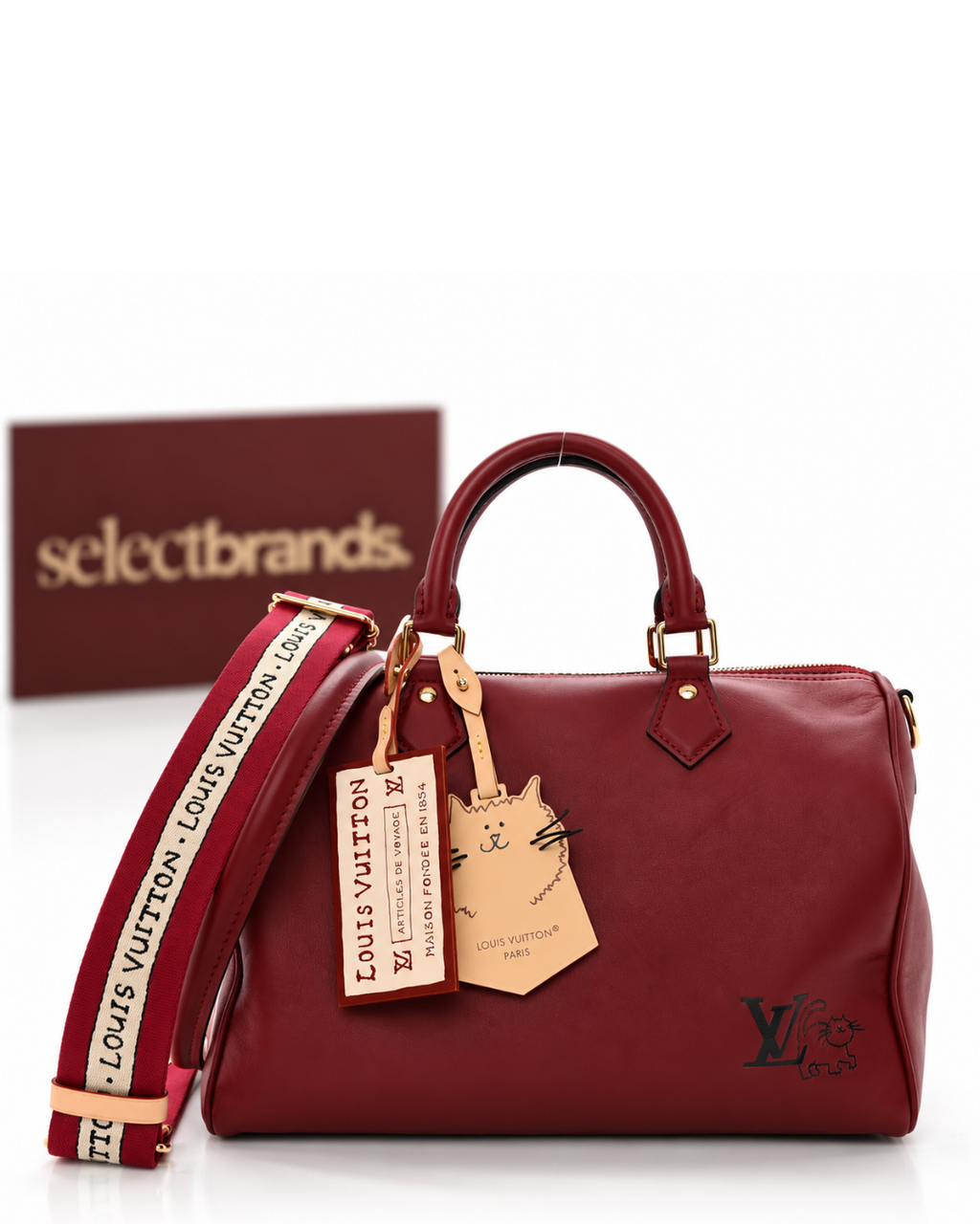 Calfskin LV Travels With Grace Coddington Speedy Soft 30 Plum