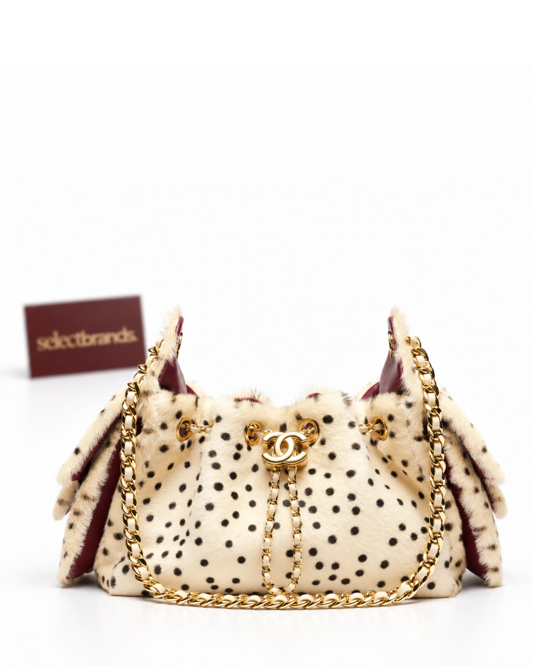 CC'25 Bag Mini
