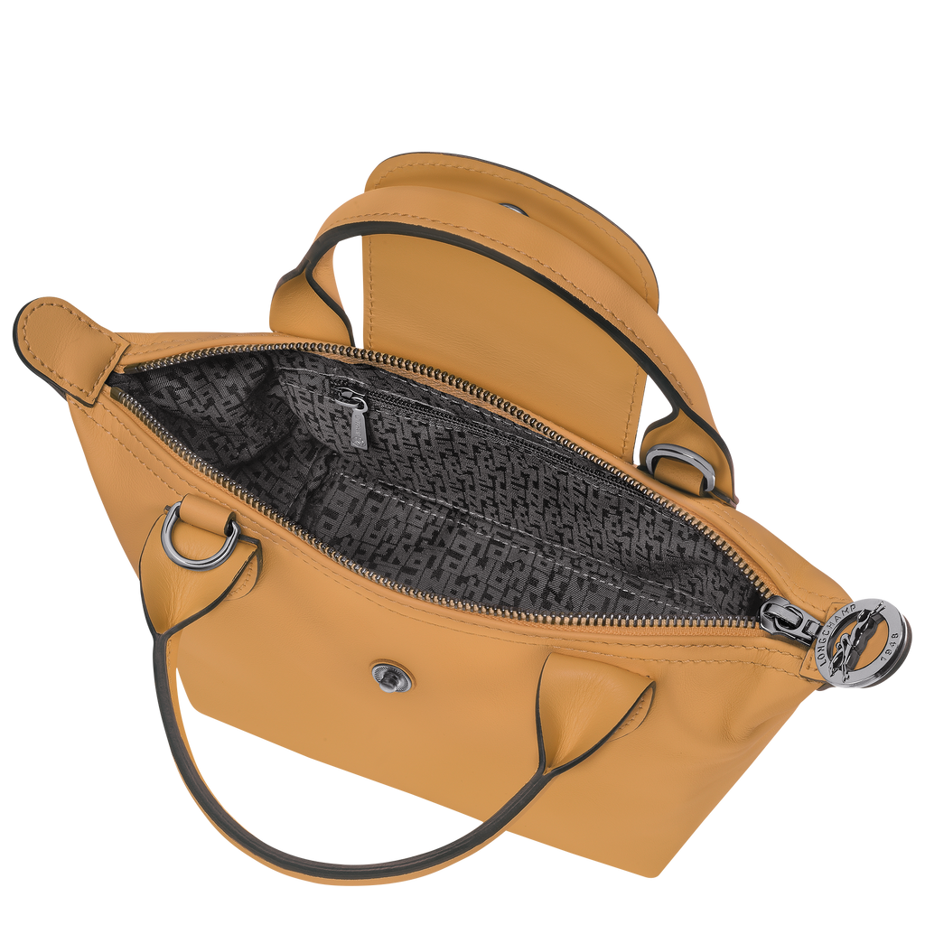 Le Pliage Xtra XS Leather Top Handle Bag – Honey