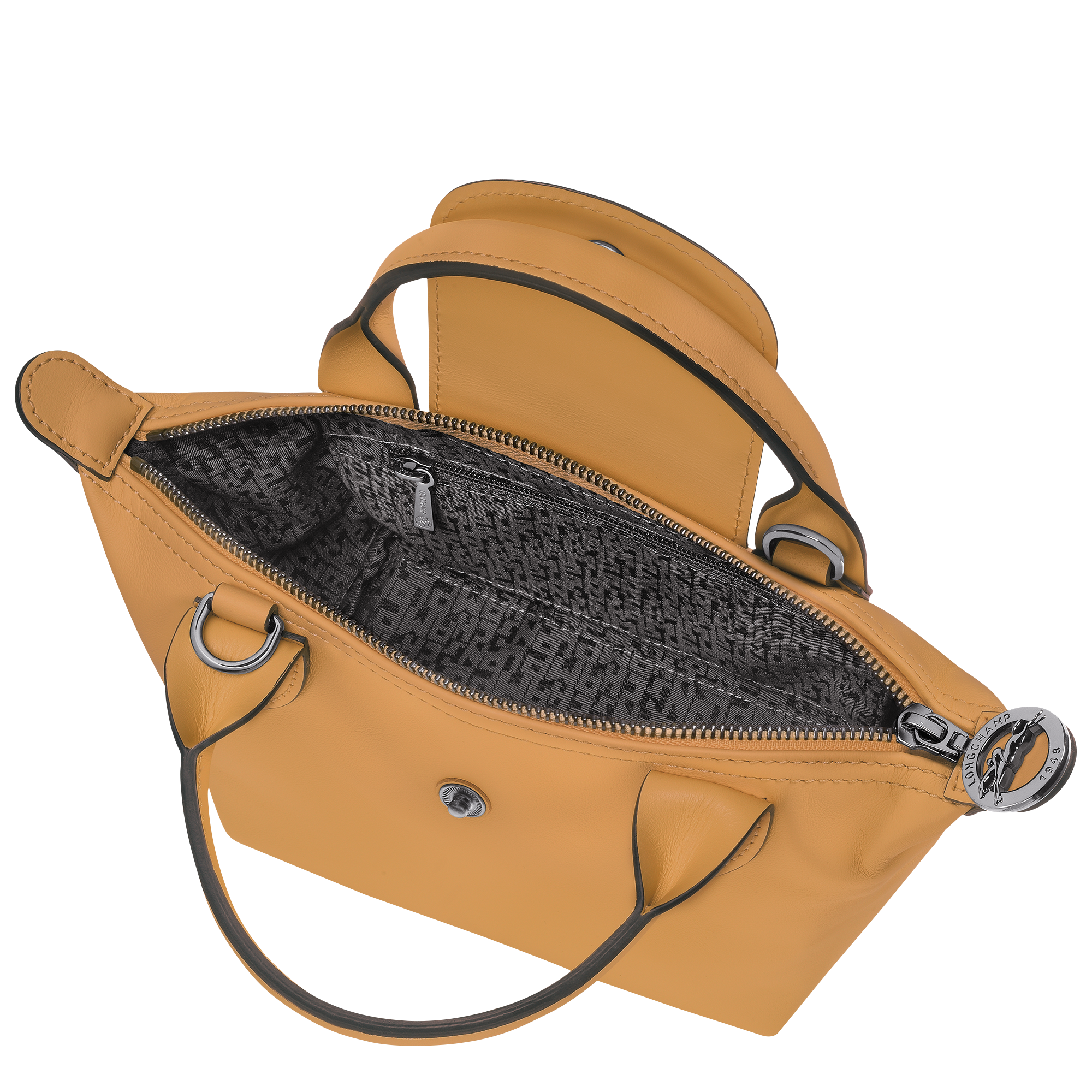 Le Pliage Xtra XS Leather Top Handle Bag – Honey