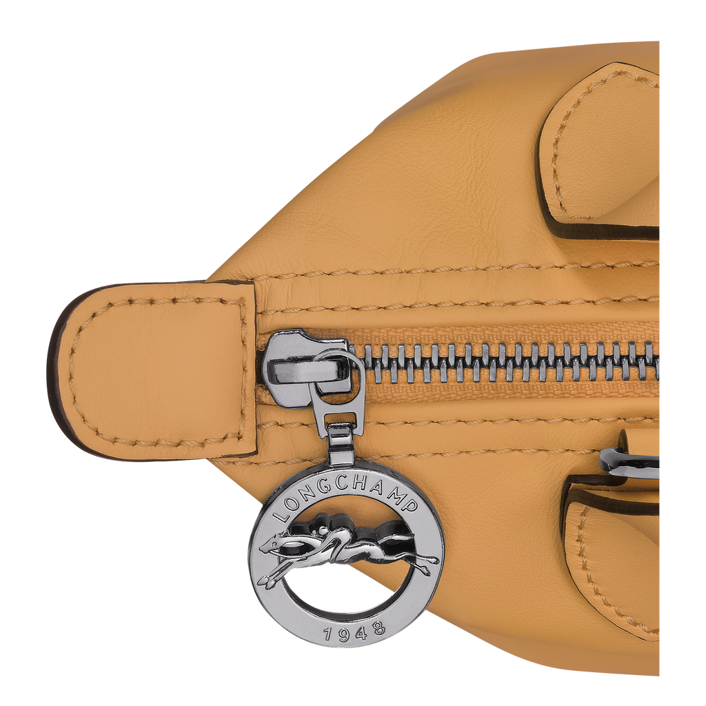 Le Pliage Xtra XS Leather Top Handle Bag – Honey