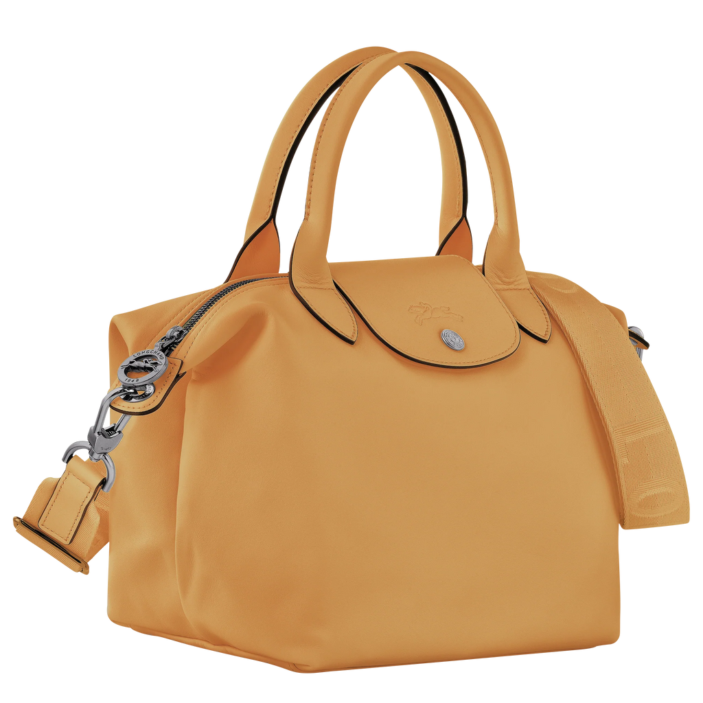 Le Pliage Xtra Small Leather Top Handle Bag – Honey