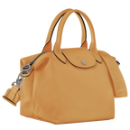 Le Pliage Xtra Small Leather Top Handle Bag – Honey