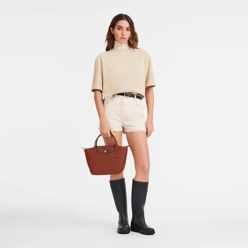 Le Pliage Green Handbag – Chestnut