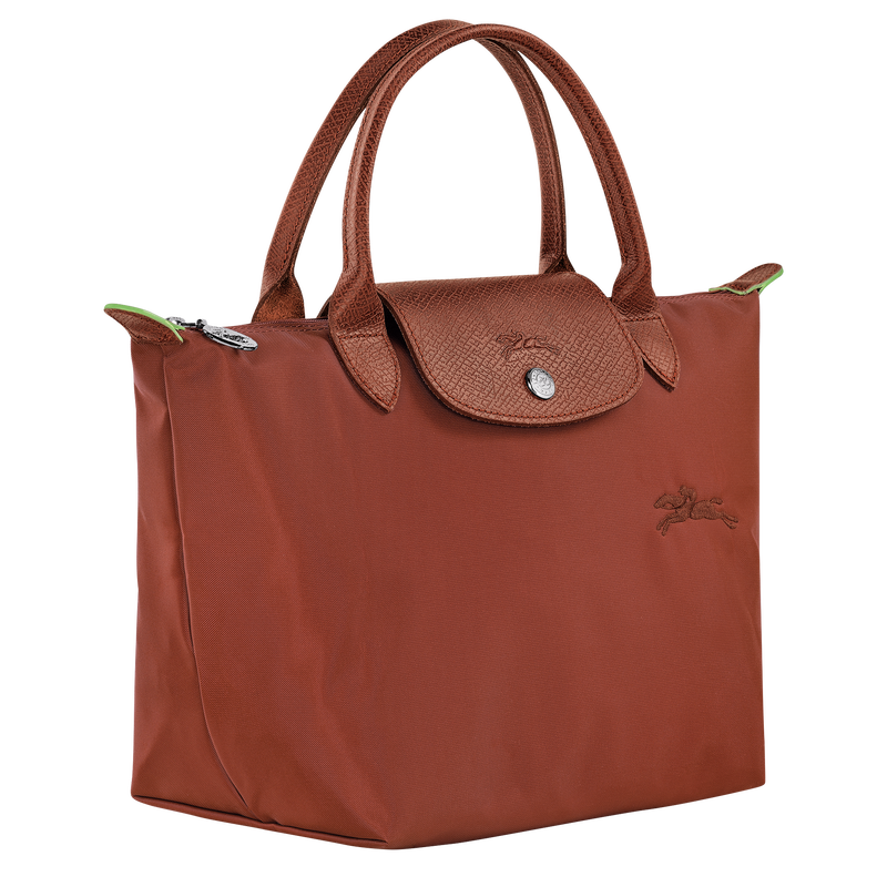 Le Pliage Green Handbag – Chestnut