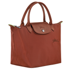 Le Pliage Green Handbag – Chestnut