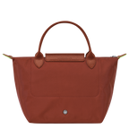 Le Pliage Green Handbag – Chestnut