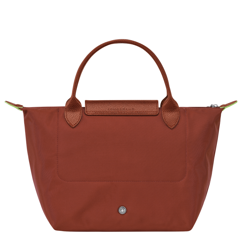 Le Pliage Green Handbag – Chestnut
