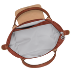 Le Pliage Green Handbag – Chestnut