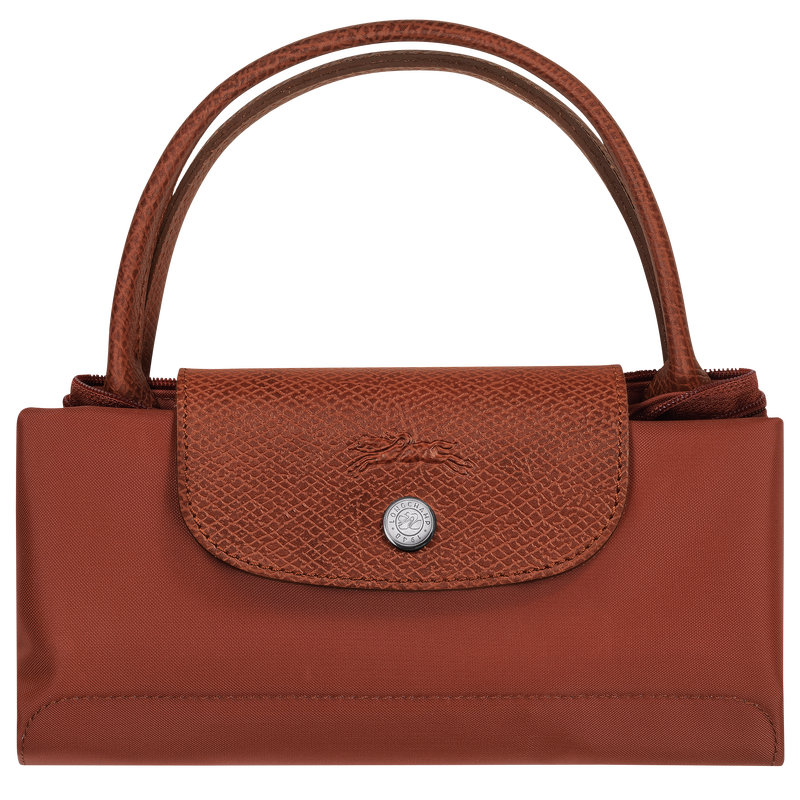Le Pliage Green Handbag – Chestnut