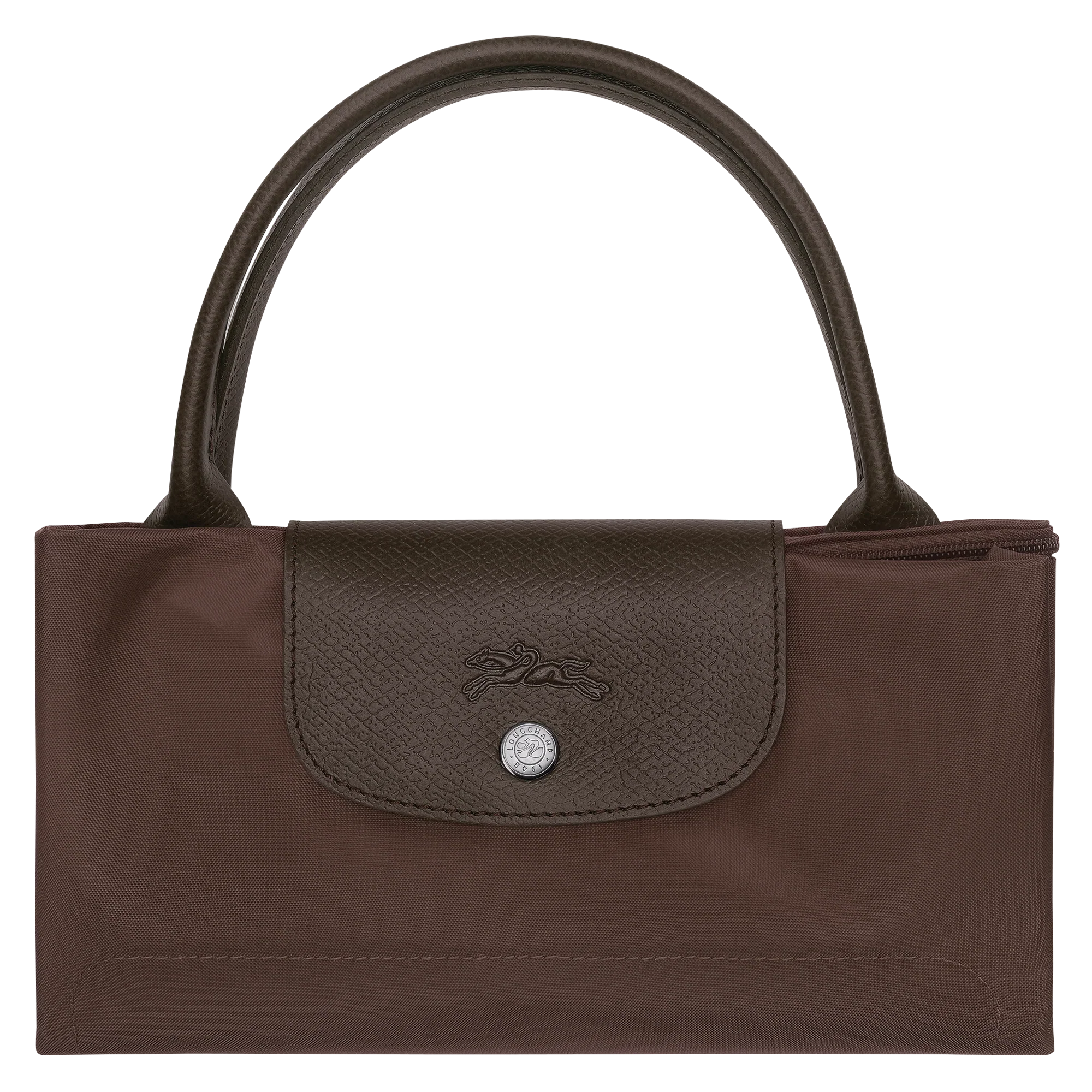 Le Pliage Green Medium Handbag – Mocha