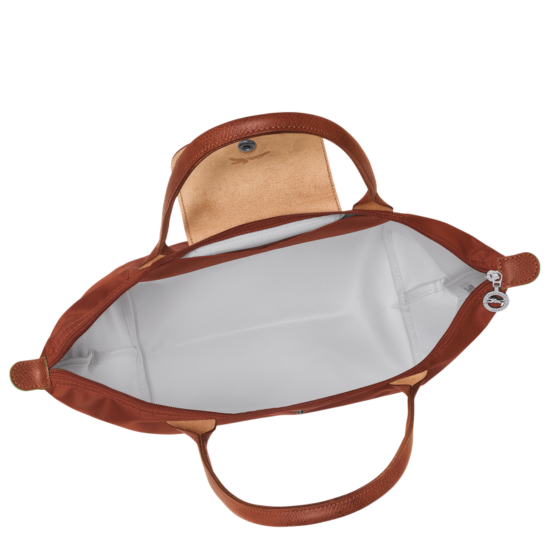 Le Pliage Green Medium Tote Bag – Chestnut