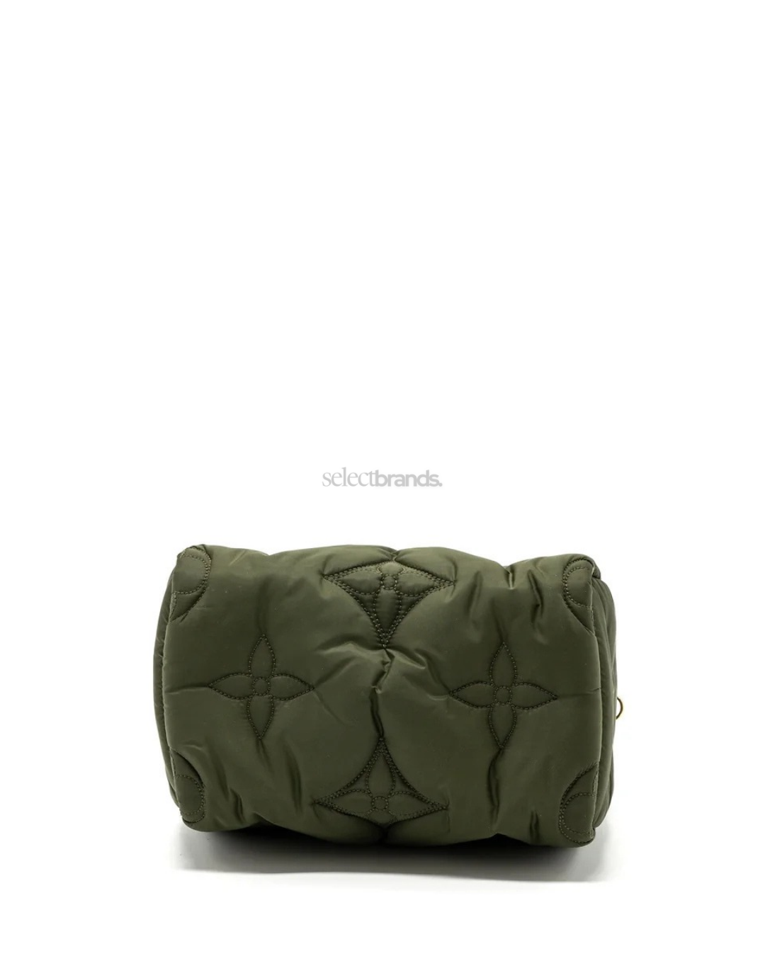 Pillow Speedy 25 Nylon Green and Brown Monogram Bag