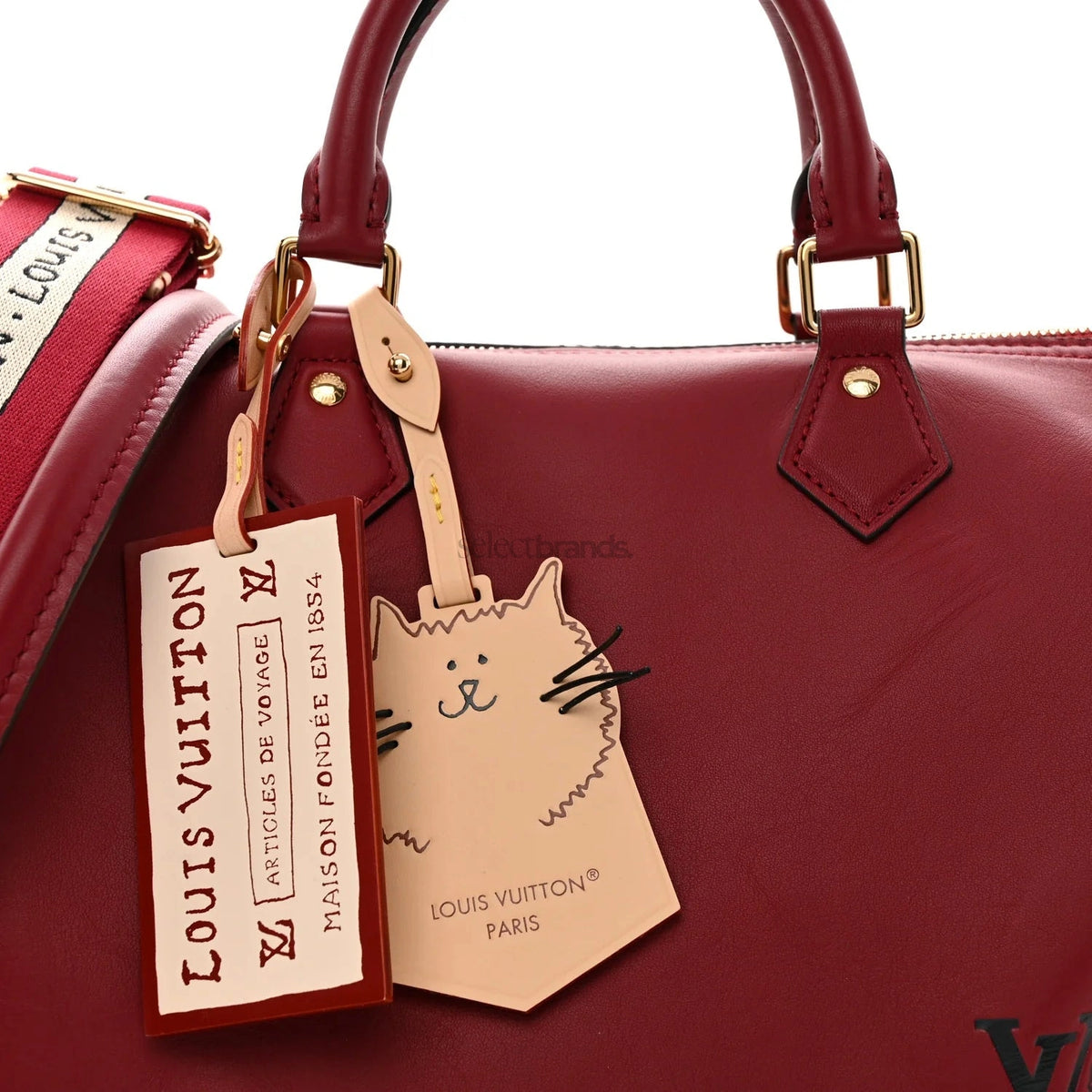 Calfskin LV Travels With Grace Coddington Speedy Soft 30 Plum Bag