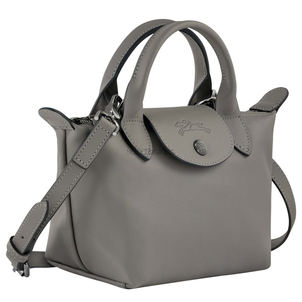 Le Pliage Xtra XS Leather Top Handle Bag – Sand Beige