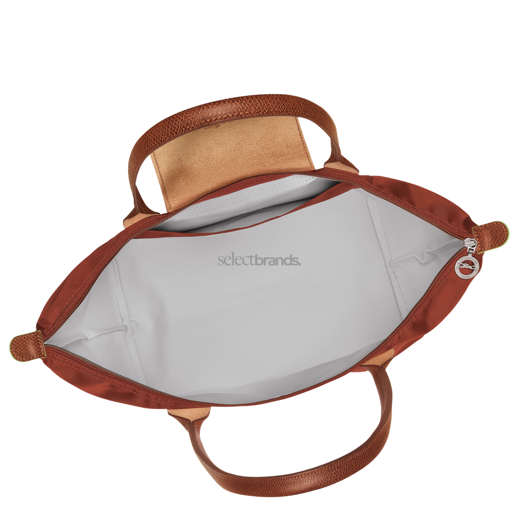 Le Pliage Green Large Tote Bag – Chestnut