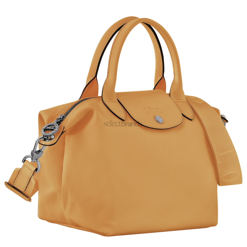 Le Pliage Xtra Small Leather Top Handle Bag – Honey