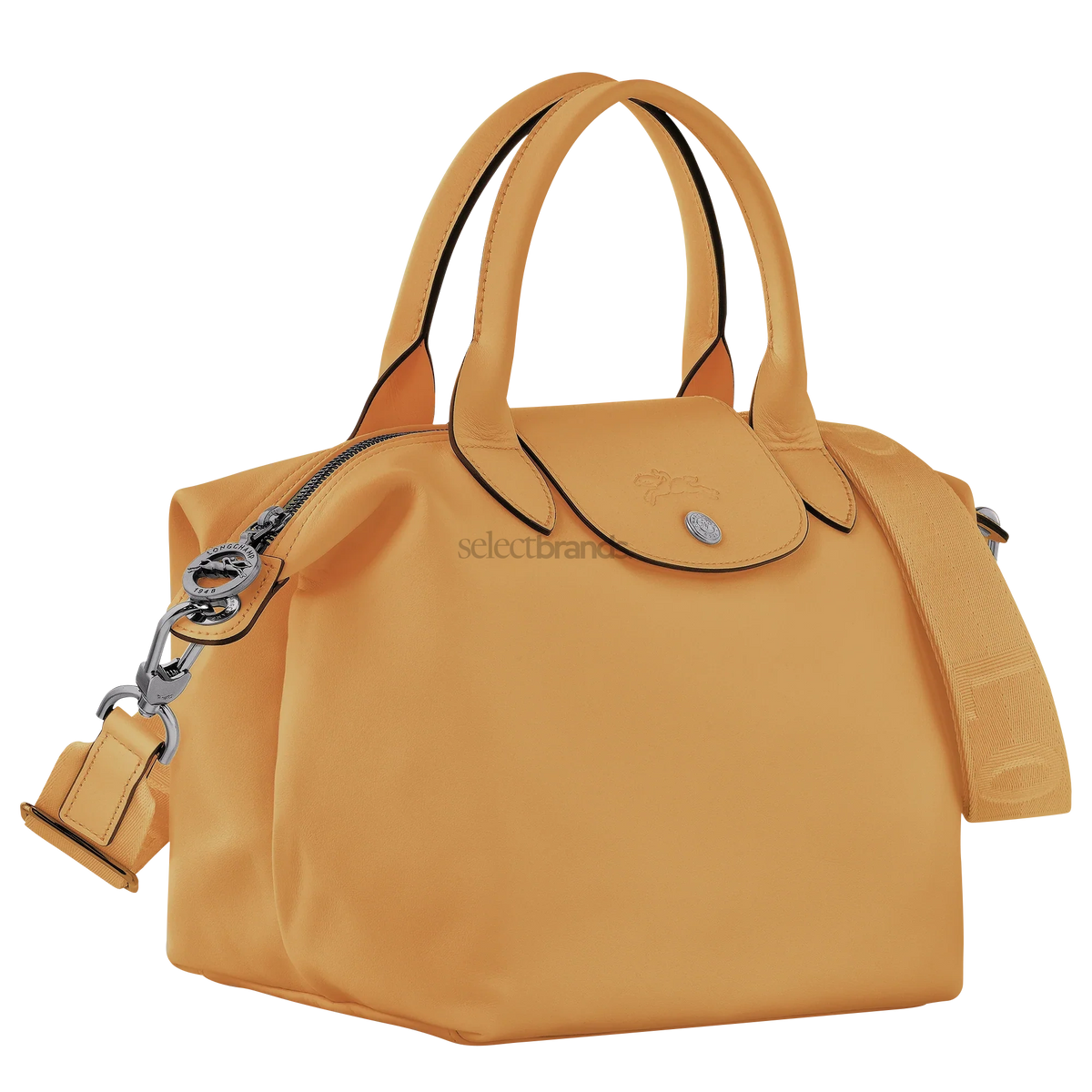 Le Pliage Xtra Small Leather Top Handle Bag – Honey
