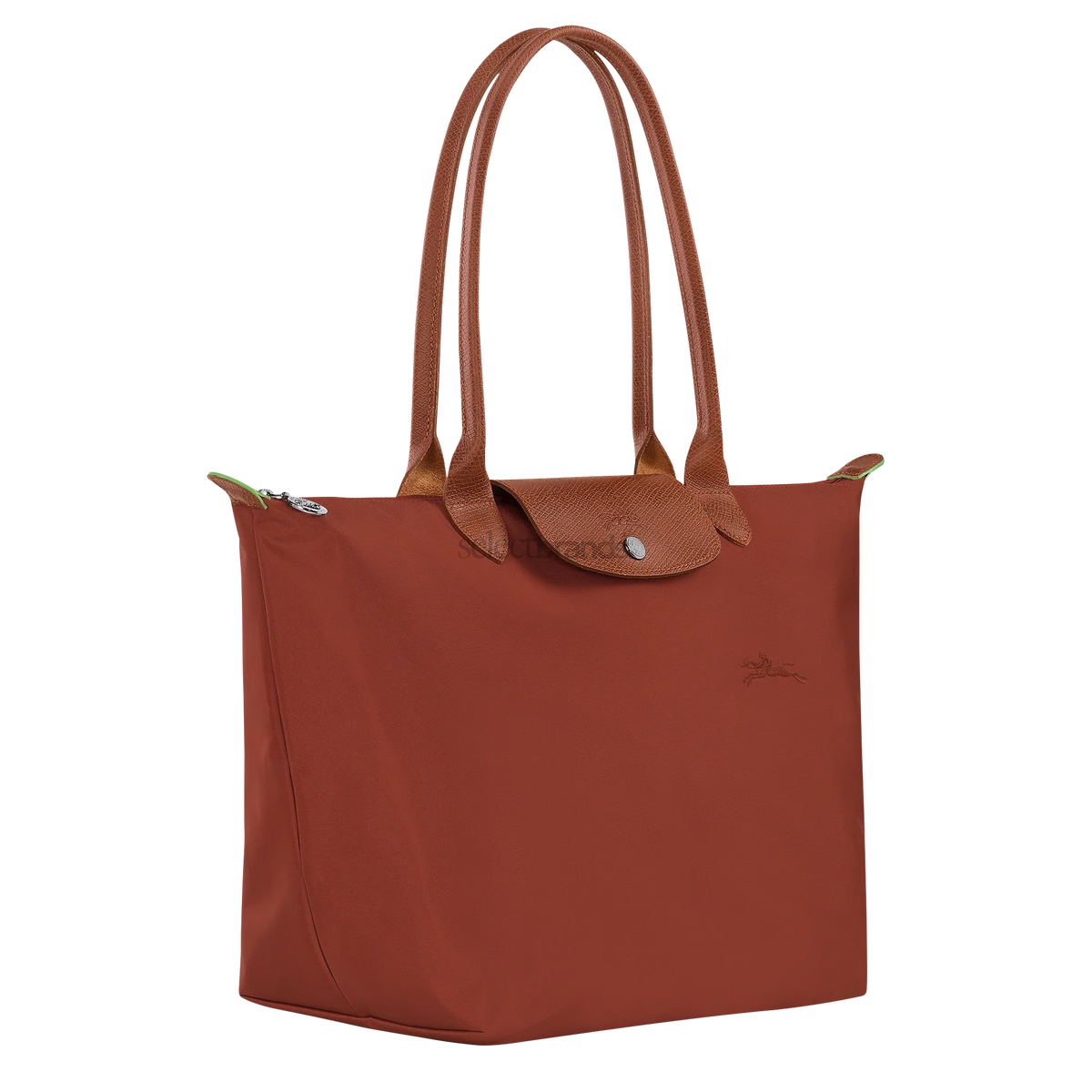 Le Pliage Green Large Tote Bag – Chestnut