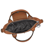 Le Pliage Xtra XS Leather Top Handle Bag – Cognac