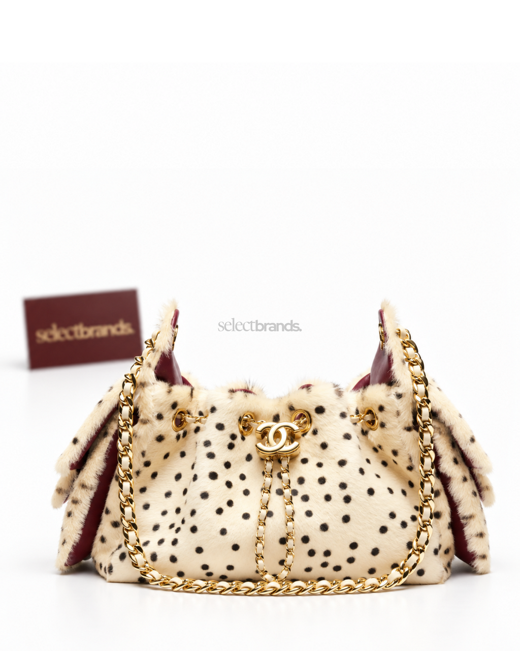 CC'25 Bag Mini